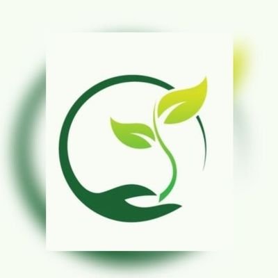 مركز النشاط